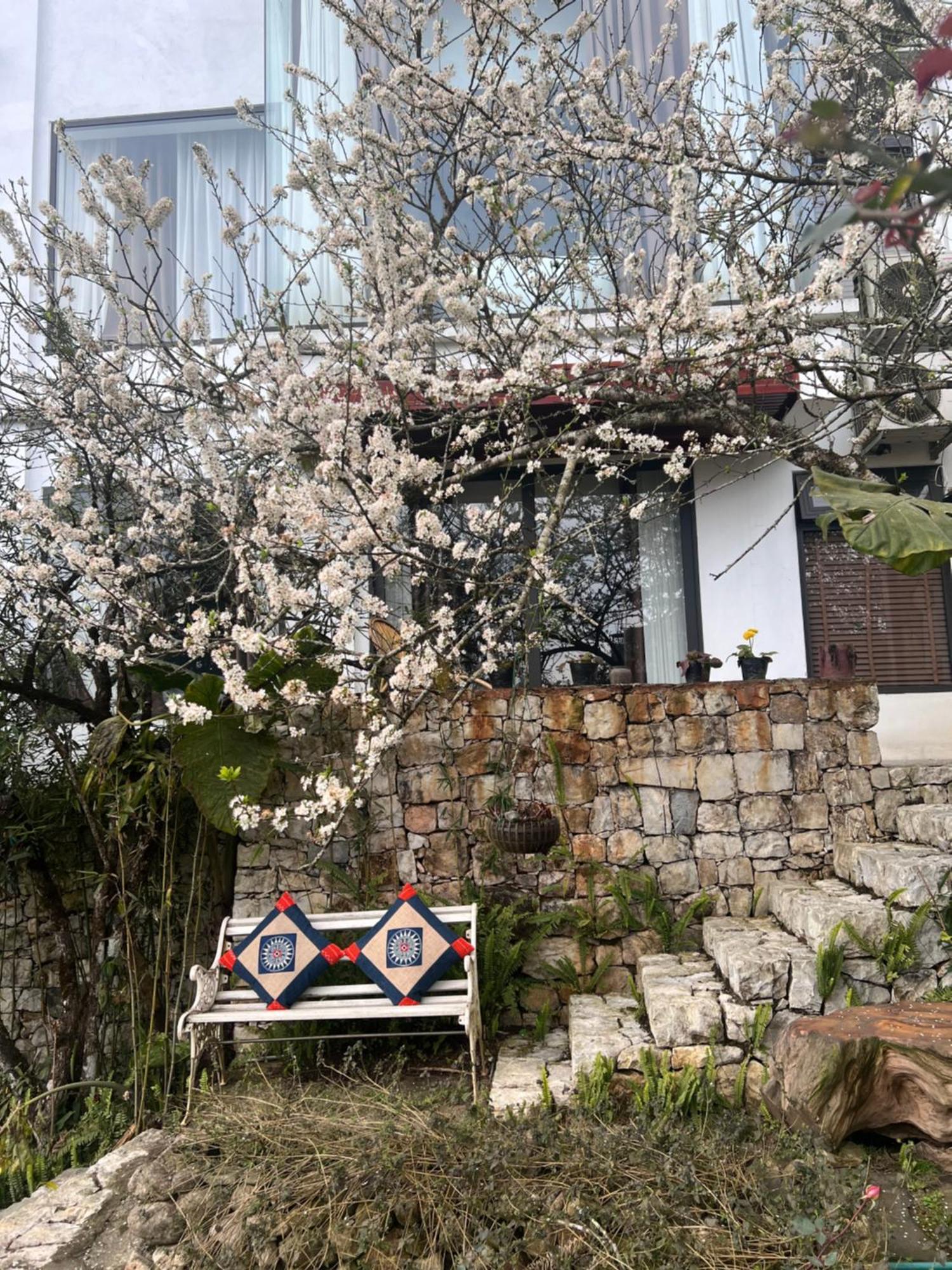 Green Villa Sapa Buitenkant foto